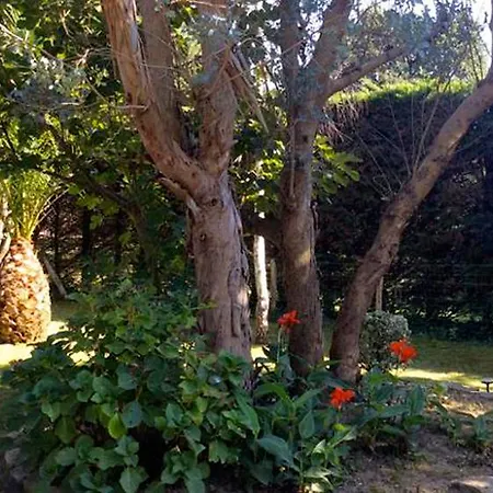 Bed & Breakfast Yoda Saint-Jean-de-Luz
