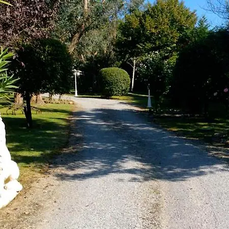 Bed & Breakfast Yoda
