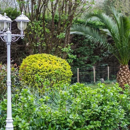 Yoda Saint-Jean-de-Luz