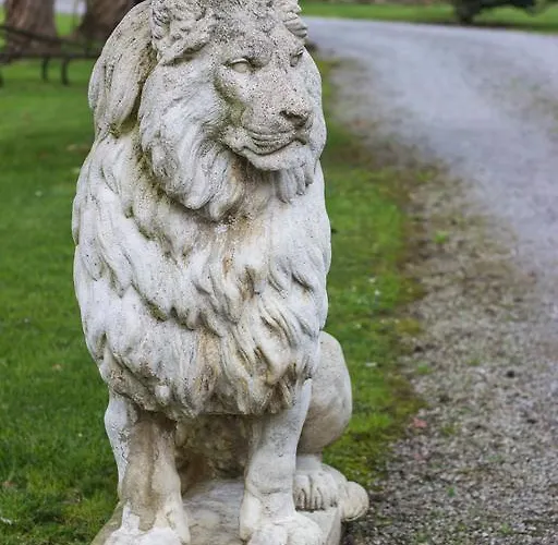 Oda ve Kahvaltı Yoda 3*