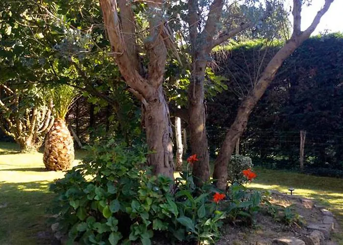 Bed & Breakfast Yoda Saint-Jean-de-Luz