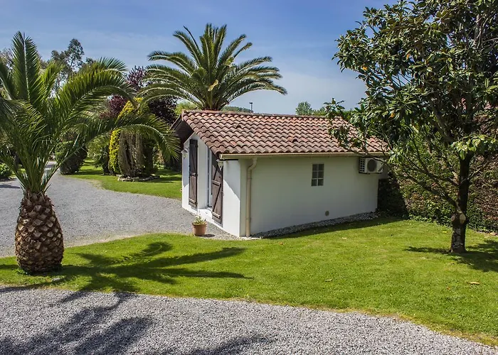 Bed & Breakfast Yoda