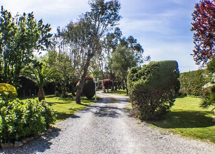 Yoda Сен-Жан-де-Люз