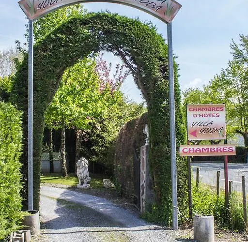 Bed & Breakfast Yoda