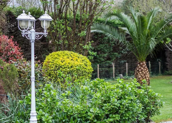 Yoda Сен-Жан-де-Люз